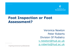 Foot inspection or foot assessment? (PDF , 896kb)