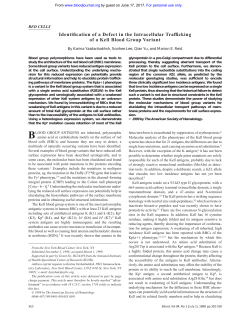 Identification of a Defect in the Intracellular Trafficking of a Kell Blood