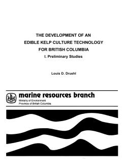 the development of an edible kelp culture technology for british