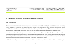 1 Structural Modelling of the Musculoskeletal System
