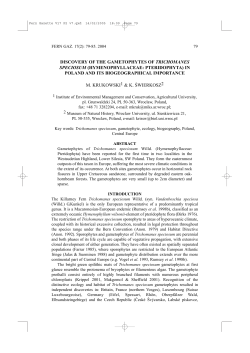 discovery of the gametophytes of trichomanes speciosum