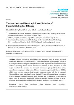 Thermotropic and Barotropic Phase Behavior of