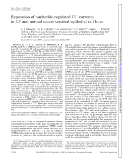 Expression of nucleotide-regulated Cl currents in CF and - AJP-Cell