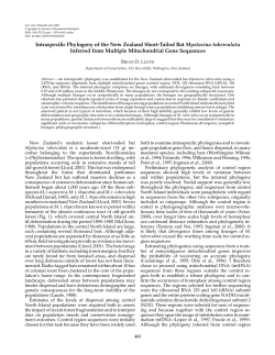 Intraspecific Phylogeny of the New Zealand Short