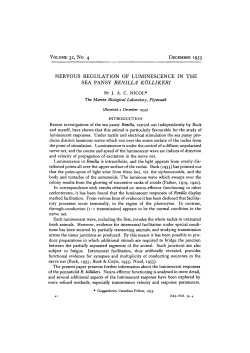 nervous regulation of luminescence in the sea pansy renilla kollikeri