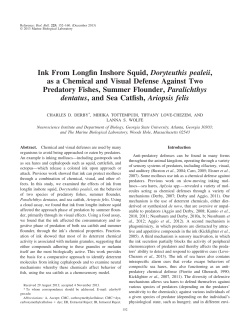 Ink From Longfin Inshore Squid, Doryteuthis pealeii, as a Chemical