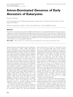 Intron-Dominated Genomes of Early Ancestors of