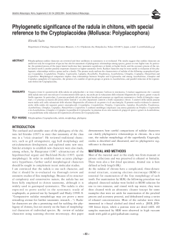 Phylogenetic significance of the radula in chitons