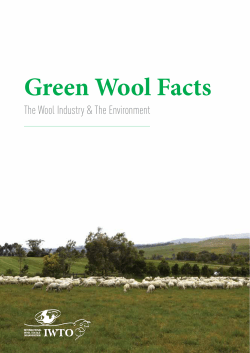 Green Wool Facts