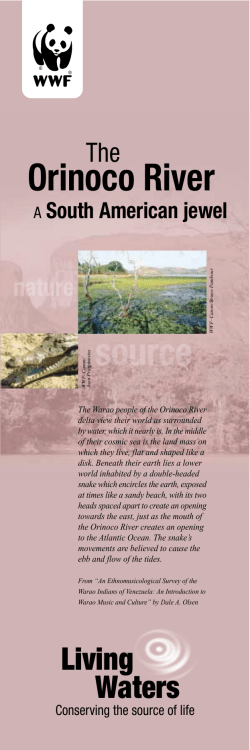 Orinoco River