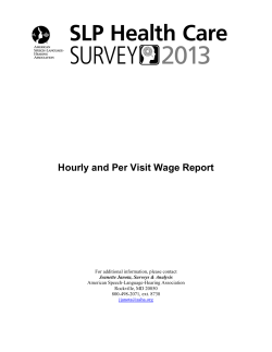 Hourly and Per Visit Wage Report