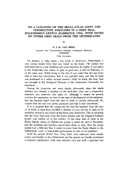 on a luxation of the skull-atlas joint and consecutive ankylosis in a