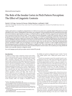 The Role of the Insular Cortex in Pitch Pattern Perception: The Effect