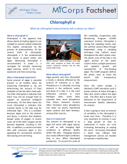Chlorophyll a