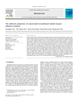 The adhesive properties of coacervated recombinant hybrid mussel