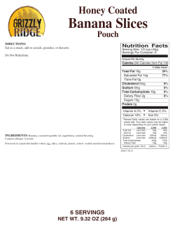 Honey Coated Banana Slices Pouch