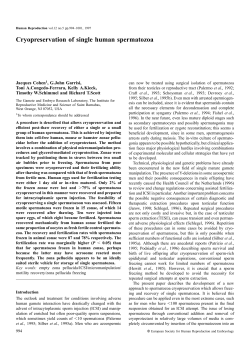 Cryopreservation of single human spermatozoa
