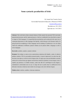 Some syntactic peculiarities of Irish