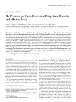 The Processing of Three-Dimensional Shape from Disparity in the