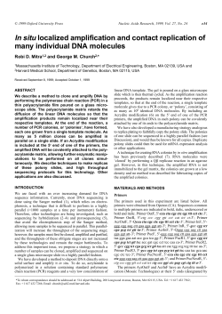 In situ localized amplification and contact replication of many