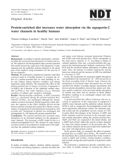 Protein-enriched diet increases water absorption