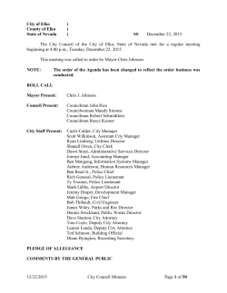 CITY OF ELKO BOARD OF SUPERVISORS