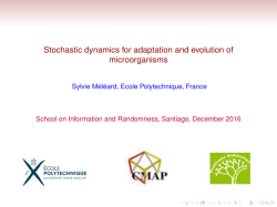 Stochastic dynamics for adaptation and evolution of microorganisms