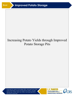 Increasing Potato Yields through Improved Potato