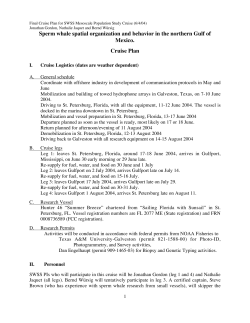 Sperm whale spatial organization and behavior in the northern Gulf