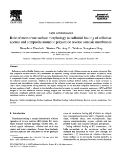 Role of membrane surface morphology in colloidal