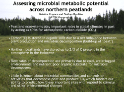 Assessing microbial metabolic potential across northern peatlands