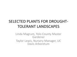 selected plants for drought- tolerant landscapes