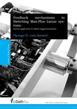 Feedback mechanisms in Switching Max