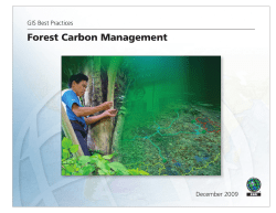 Forest Carbon Management