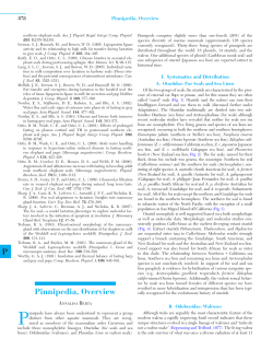 P Pinnipedia, Overview