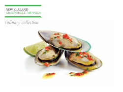 New Zealand Greenshell Mussels