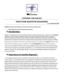 Mastitis Screening Tests - Dr. Atiq Ullah Khan Sa`yem Marwat