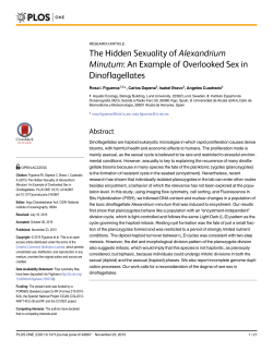 The Hidden Sexuality of Alexandrium Minutum: An Example of