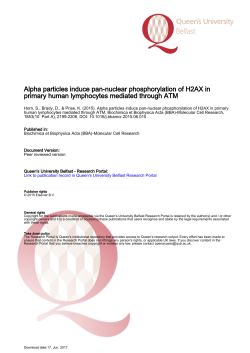 Alpha particles induce pan-nuclear phosphorylation of H2AX