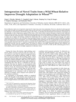 Introgression of Novel Traits from a Wild Wheat