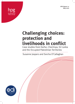 Challenging choices: protection and livelihoods in conflict