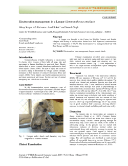 Electrocution management in a Langur (Semnopithecus entellus)