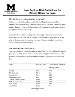 Low Sodium Diet Guidelines for Kidney Stone Formers