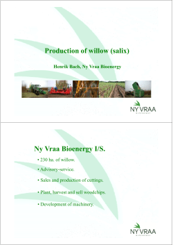 Production of willow (salix) Ny Vraa Bioenergy I/S.