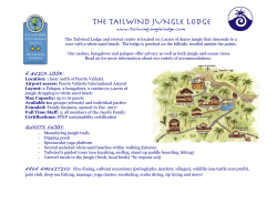 THE TAILWIND JUNGLE LODGE