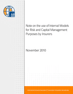 Note on the use of Internal Models for Risk and Capital Management