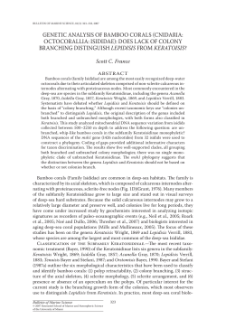 GENETIC ANALySIS OF BAMBOO CORALS (CNIdARIA