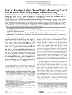 Structure Function Analysis of an ADP
