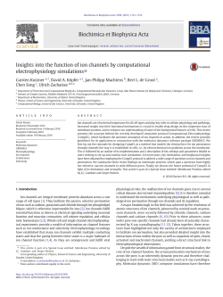 Insights into the function of ion channels by computational