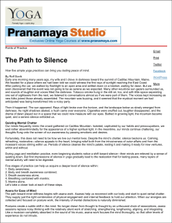 The Path to Silence - Phoenix Rising Solutions, LLC